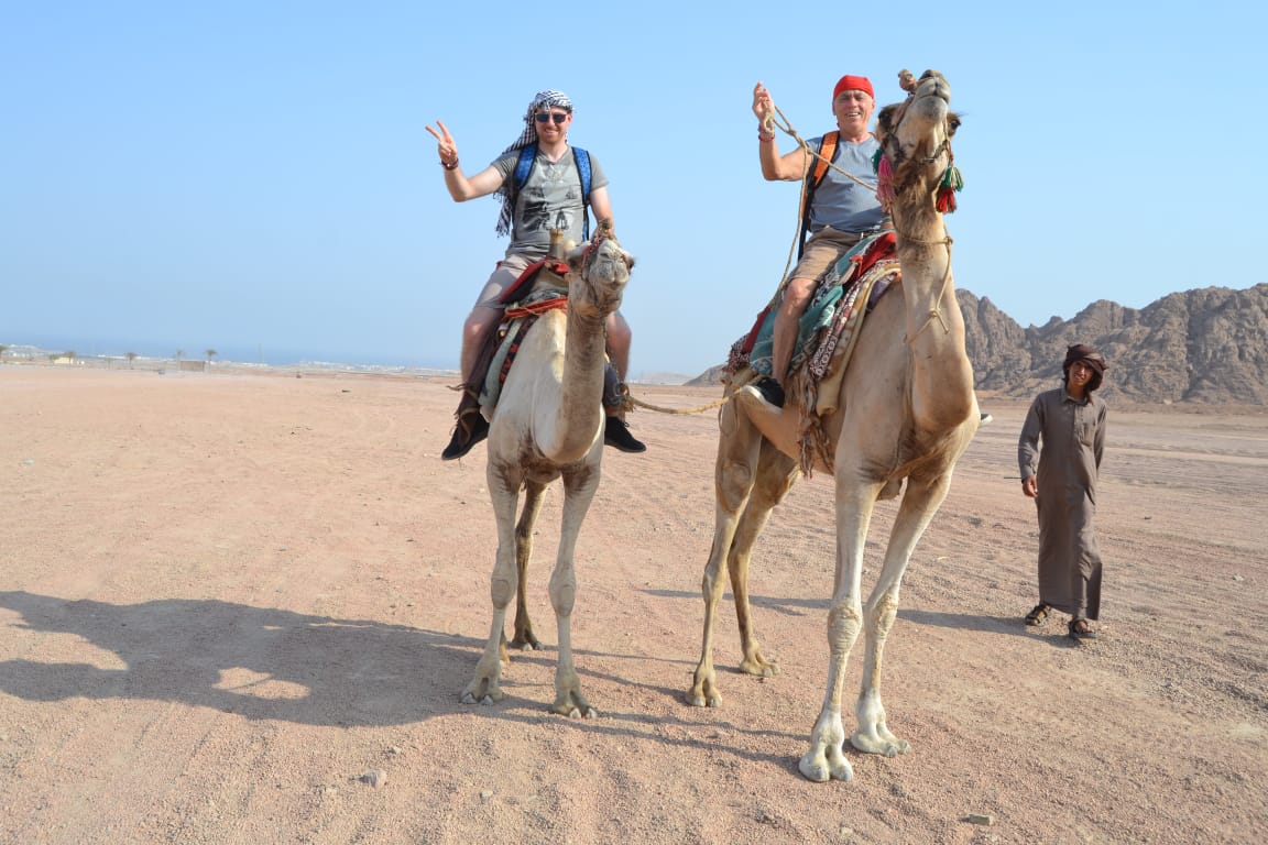 Катание на верблюдах в Хургаде